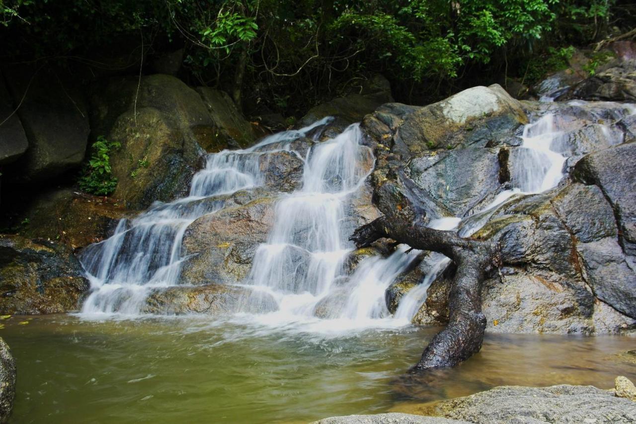 Oyo 479 Water Jade Natural Resort Thai Mueang Ngoại thất bức ảnh